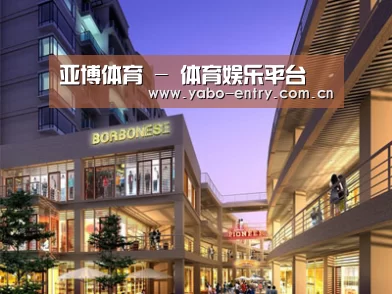 案例展示一(图1)