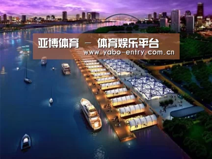 案例展示八