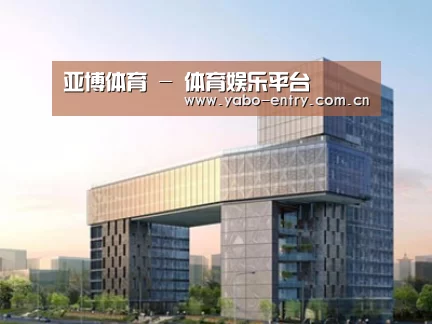 案例展示四