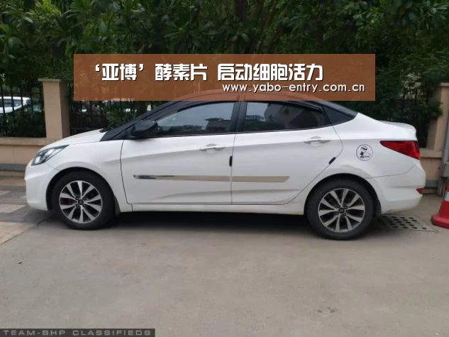 ‘亚博’酵素片 启动细胞活力(图2) 亚博体育官网