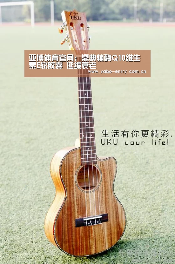亚博体育官网:鼎典辅酶Q10维生素E软胶囊 延缓衰老(图1) 亚博体育